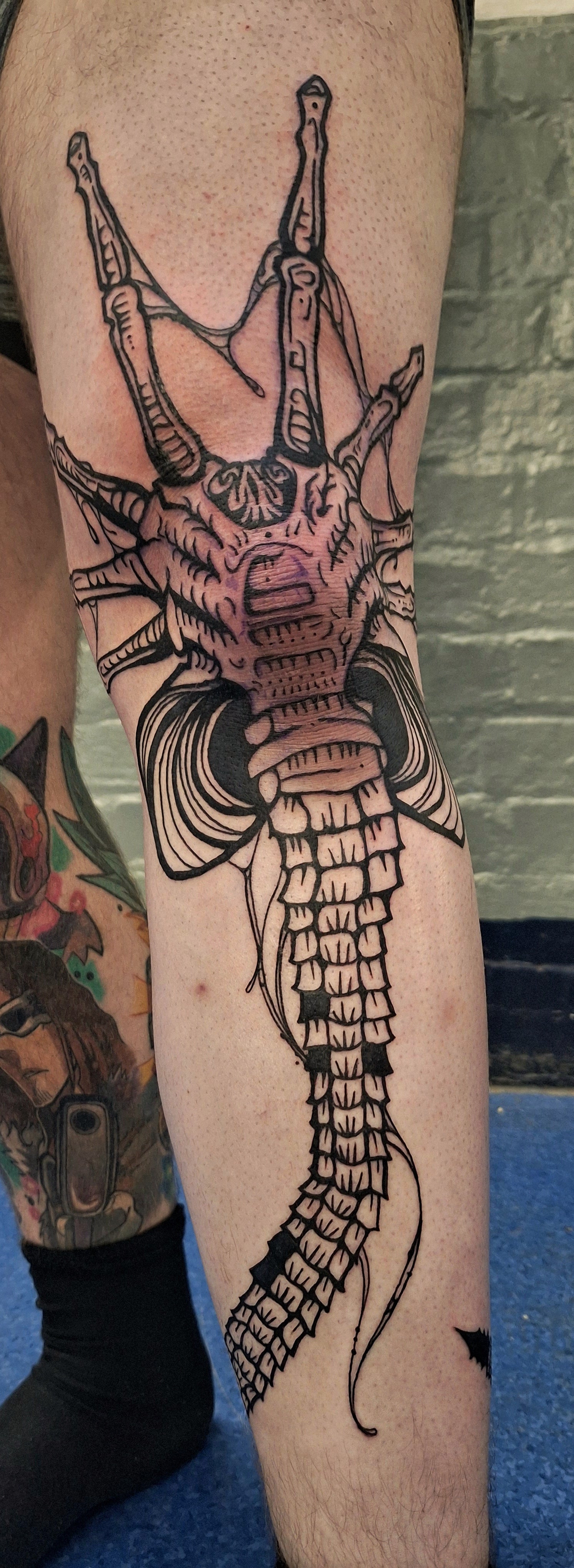 Alien tattoo, knee face hugger, bold blackwork