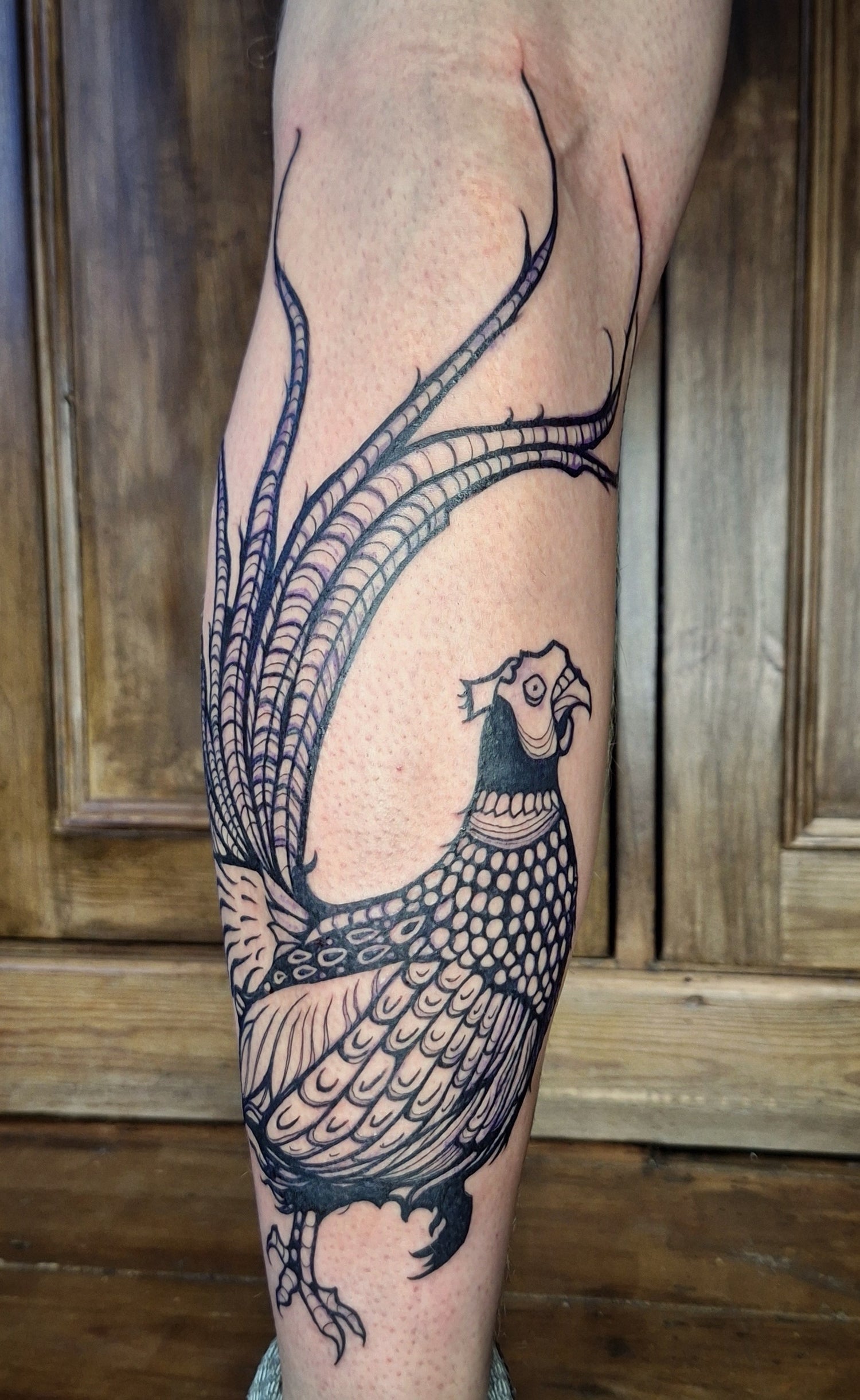 Bird tattoo, bold blackwork, tattooist Canterbury 